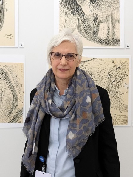 Prof. Dr. Hayrunnisa Bolay, Tıp Doktoru, PhD