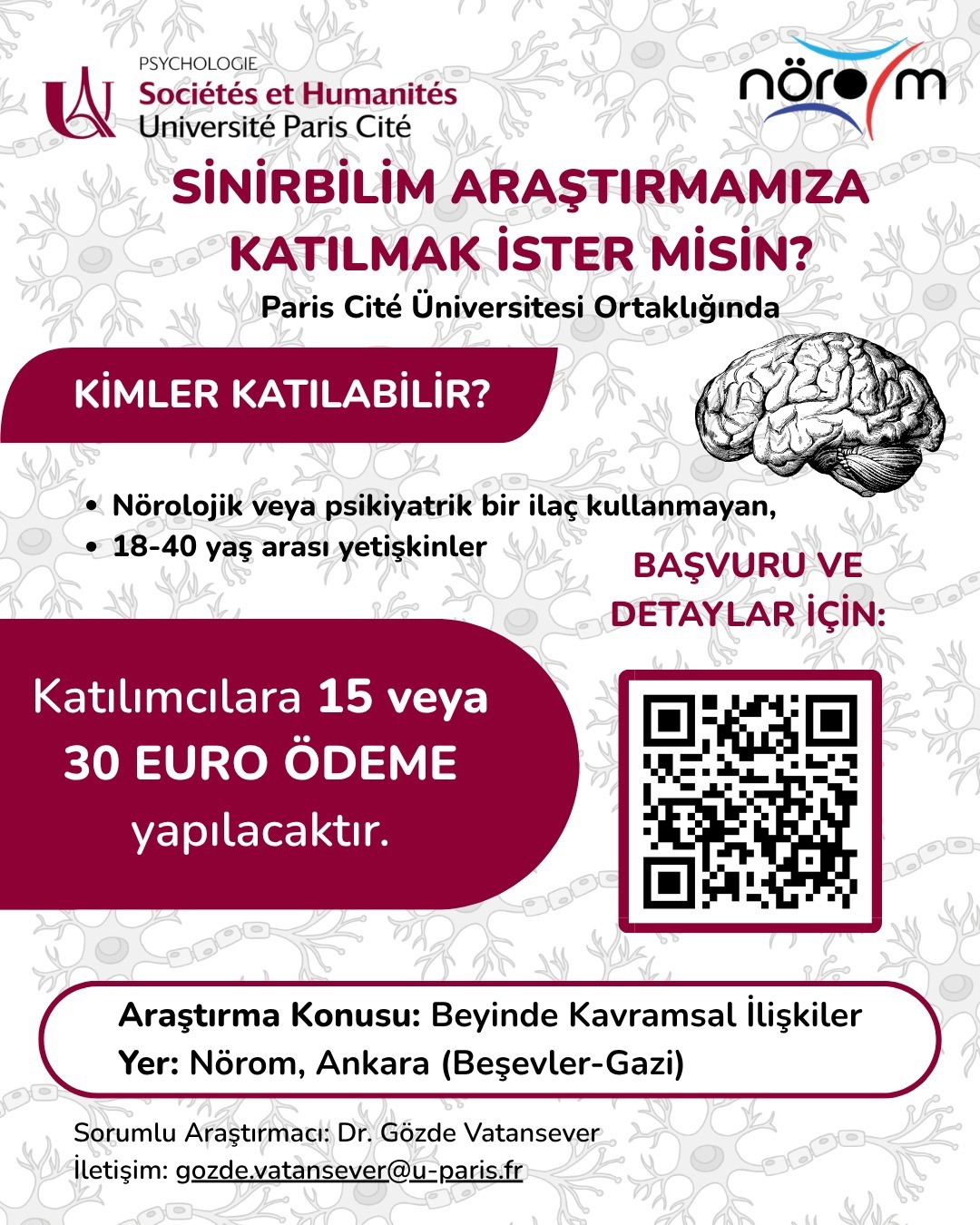 Sinirbilim Araştırması-1