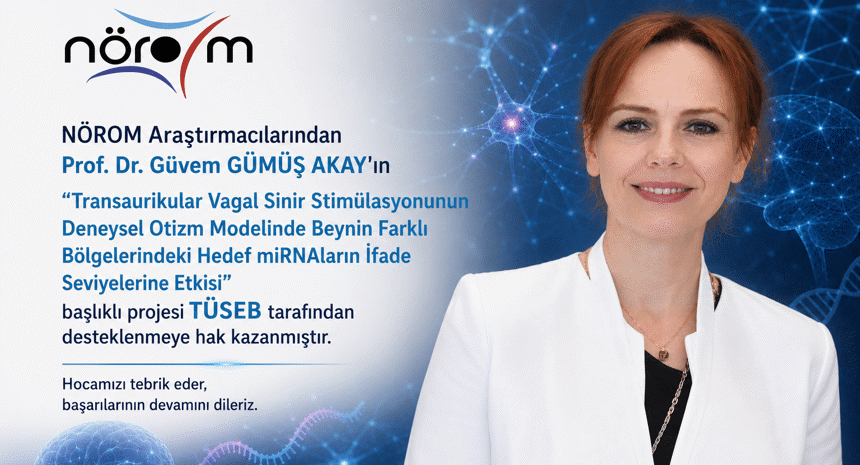 NÖROM Araştırmacılarından Prof. Dr. Güvem GÜMÜŞ AKAY'ın "Transaurikular Vagal Sinir Stimülasyonunun Deneysel Otizm Modelinde Beynin Farklı Bölgelerindeki Hedef miRNAların İfade Seviyelerine Etkisi" Başlıklı projesi TÜSEB Tarafından desteklenmeye hak kazanmıştır.