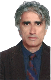 Prof. Bülent Cengiz, Tıp Doktoru