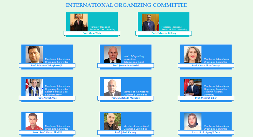 International Organizing Committee