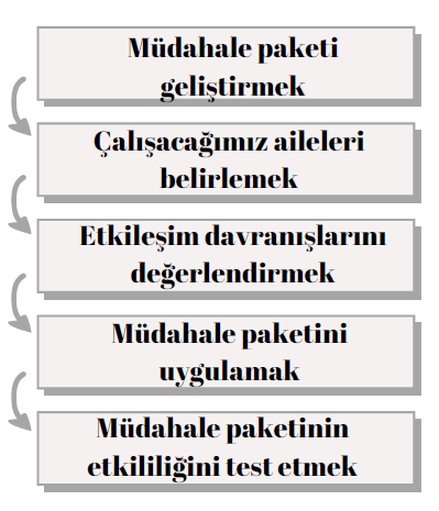 Proje Aşamaları-1