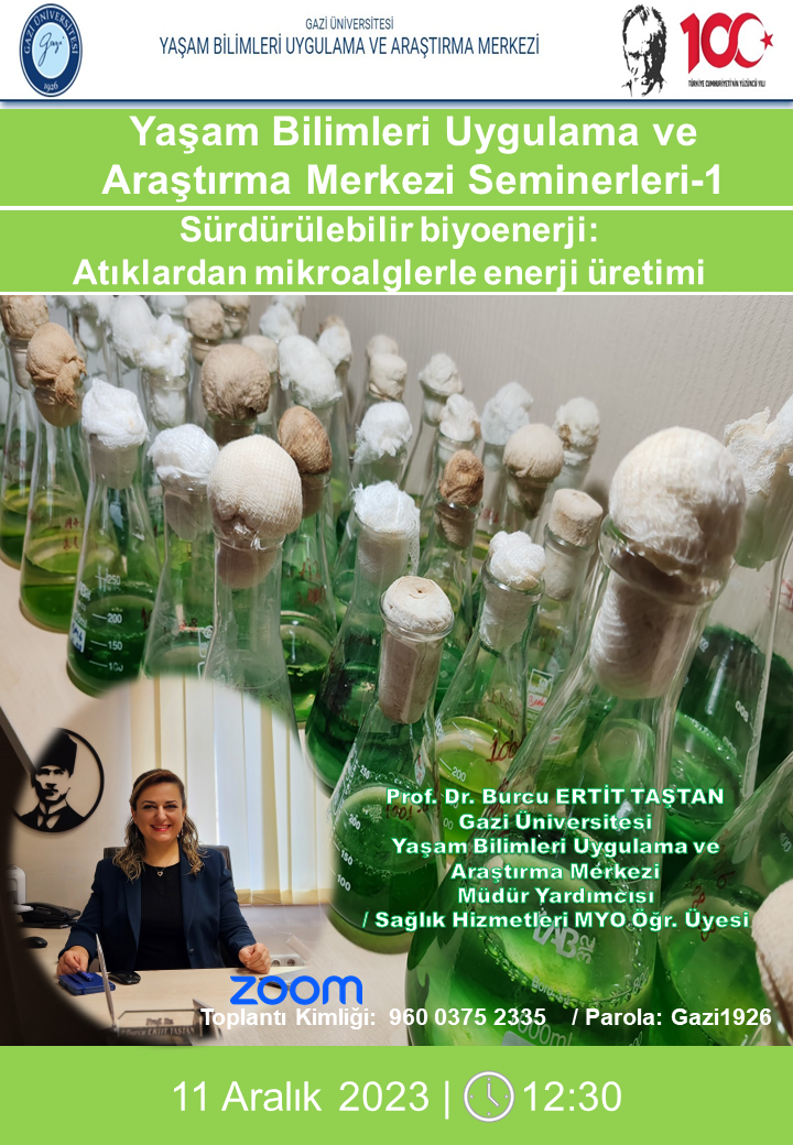 Sürdürülebilir Biyoenerji