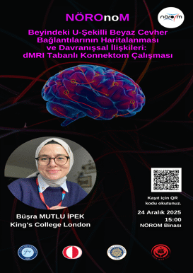 NÖROnoM: Beyindeki U-Şekilli Beyaz Cevher Bağlantılarının Haritalanması ve Davranışsal İlişkileri: dMRI Tabanlı Konnektom Çalışması