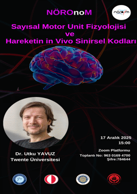 NÖROnoM: Sayısal Motor Unit Fizyolojisi ve Hareketin in Vivo Sinirsel Kodları