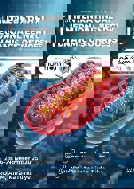 Congress