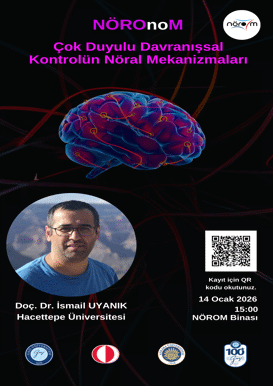 NÖROnoM: Çok Duyulu Davranışsal Kontrolün Nöral Mekanizmaları