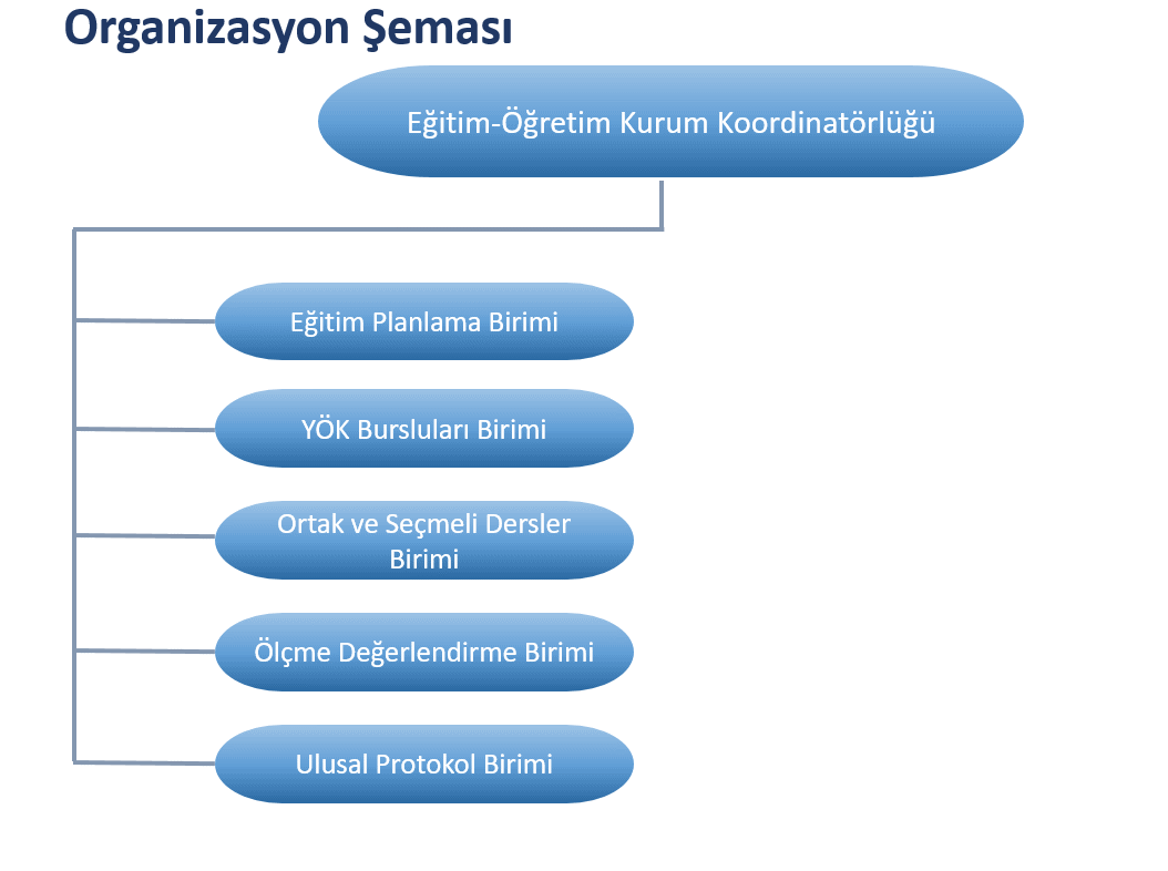 Organizasyon Şeması-1