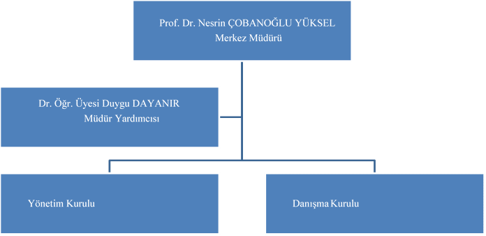 Organizasyon Şeması