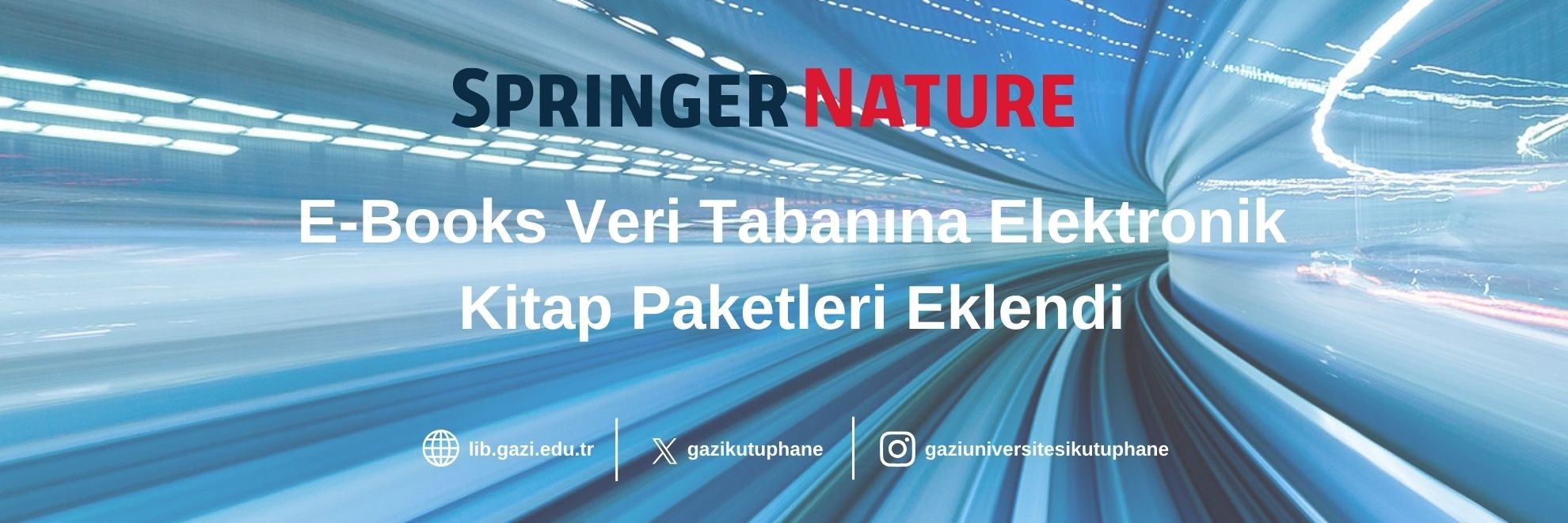 springer nature kitap