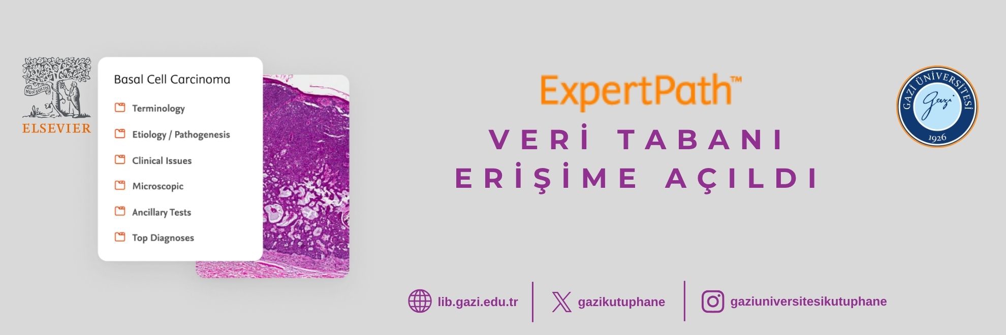 expertpath-erisime-acildi