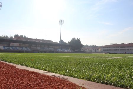 Spor Hizmetleri Şube Müdürlüğü resim-4