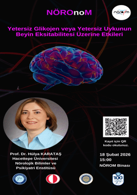 NÖROnoM: Yetersiz Glikojen veya Yetersiz Uykunun Beyin Eksitabilitesi Üzerine Etkileri