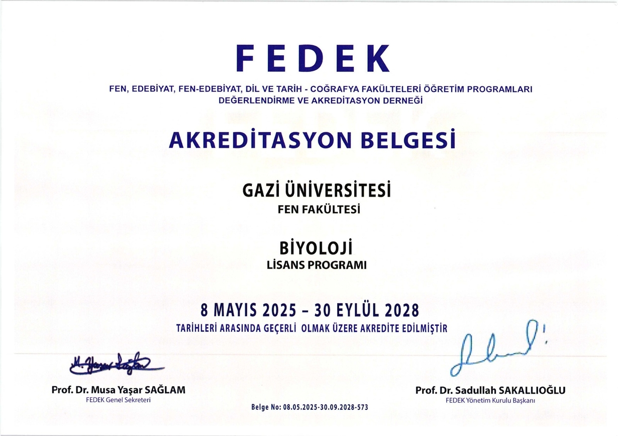 fedek-1