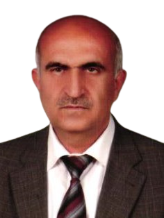 Prof. Dr. Hasan BAL-1