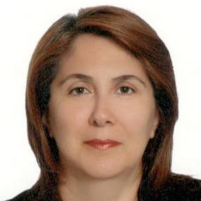 ProfDr Fatma ARSLAN