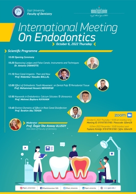 International Meeting on Endodontics