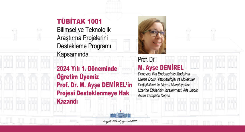 TÜBİTAK A.Mürşide Demirel web