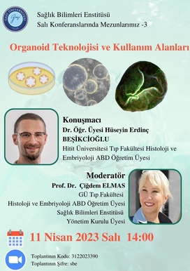 Organoid Teknolojisi ve Kullanım Alanları