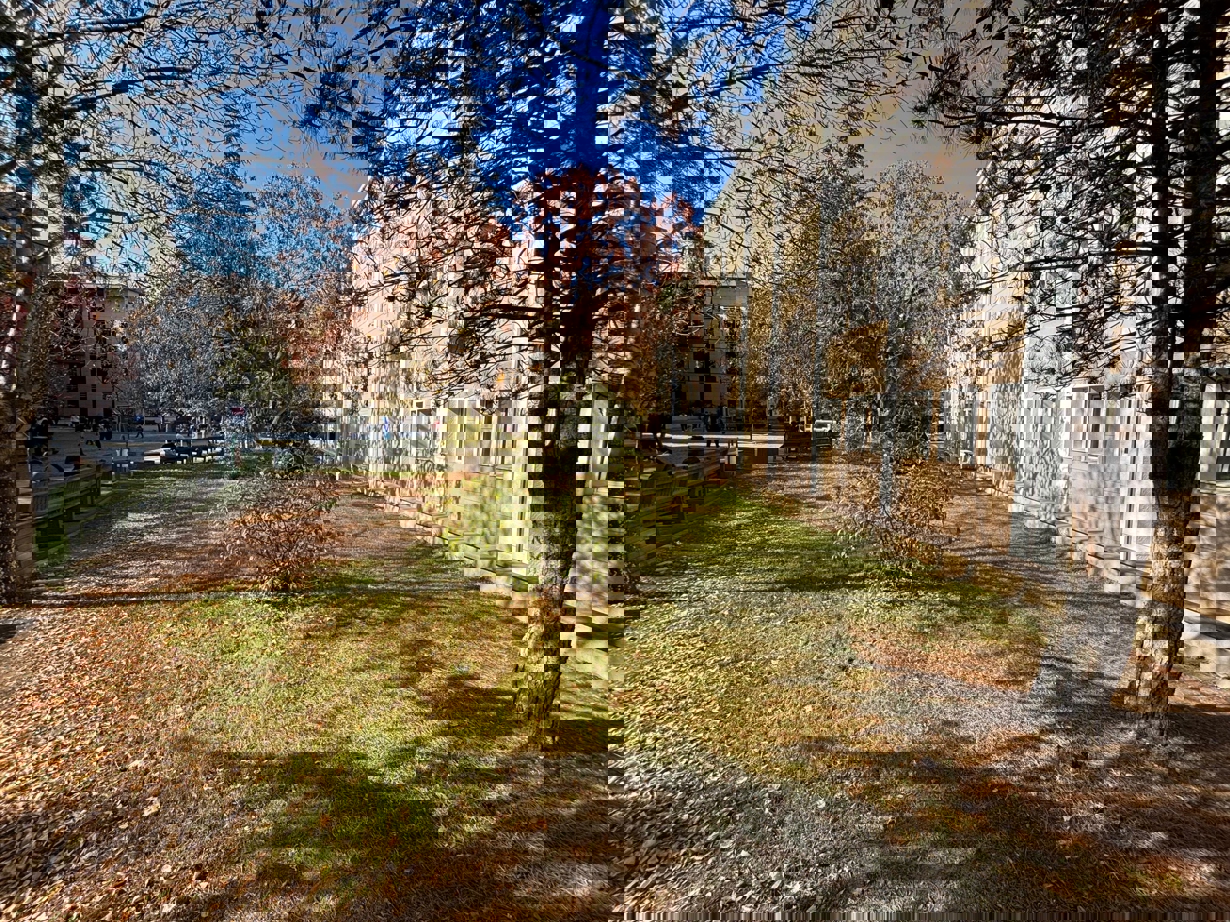 Fakültemizden Sonbahar Manzaraları-1