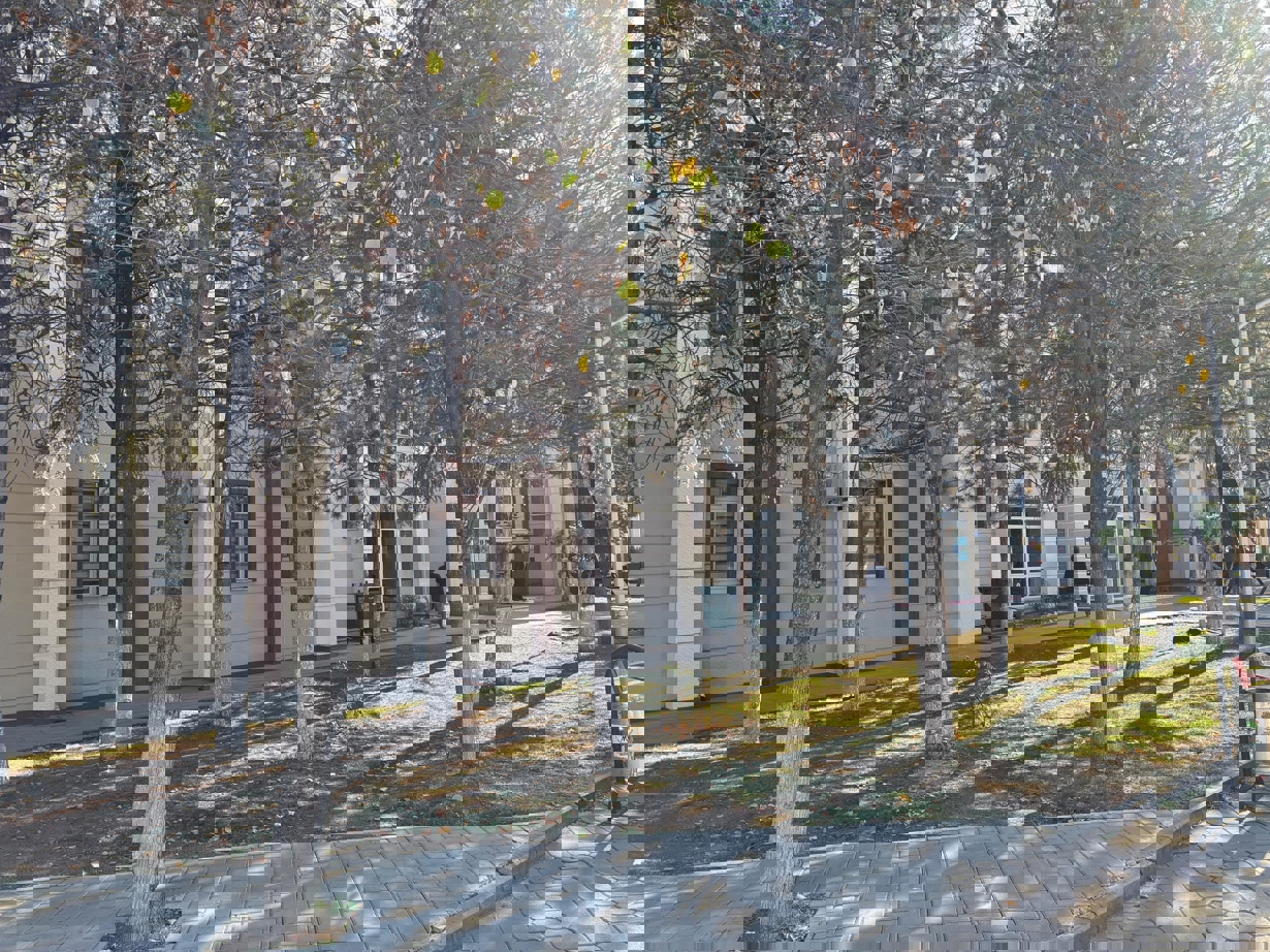 Fakültemizden Sonbahar Manzaraları-1