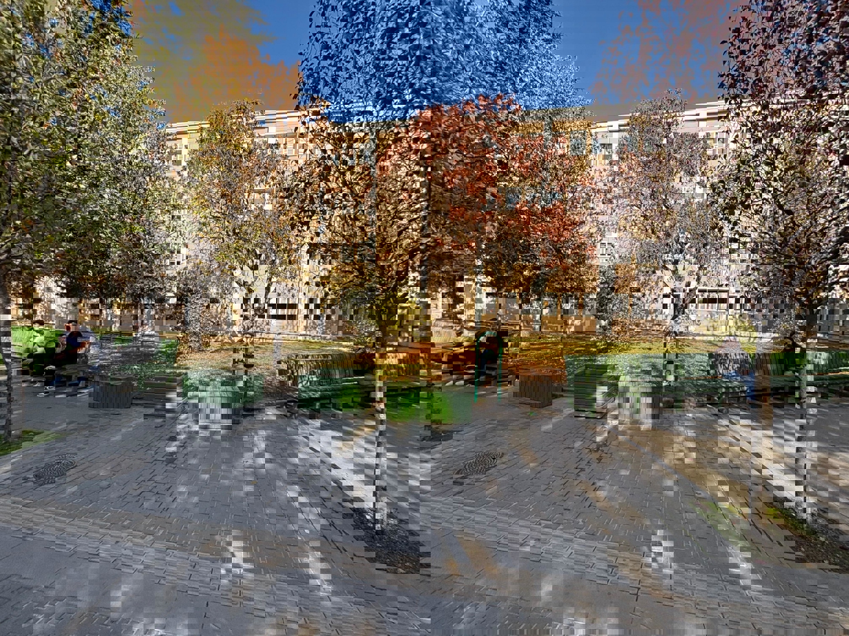 Fakültemizden Sonbahar Manzaraları-1