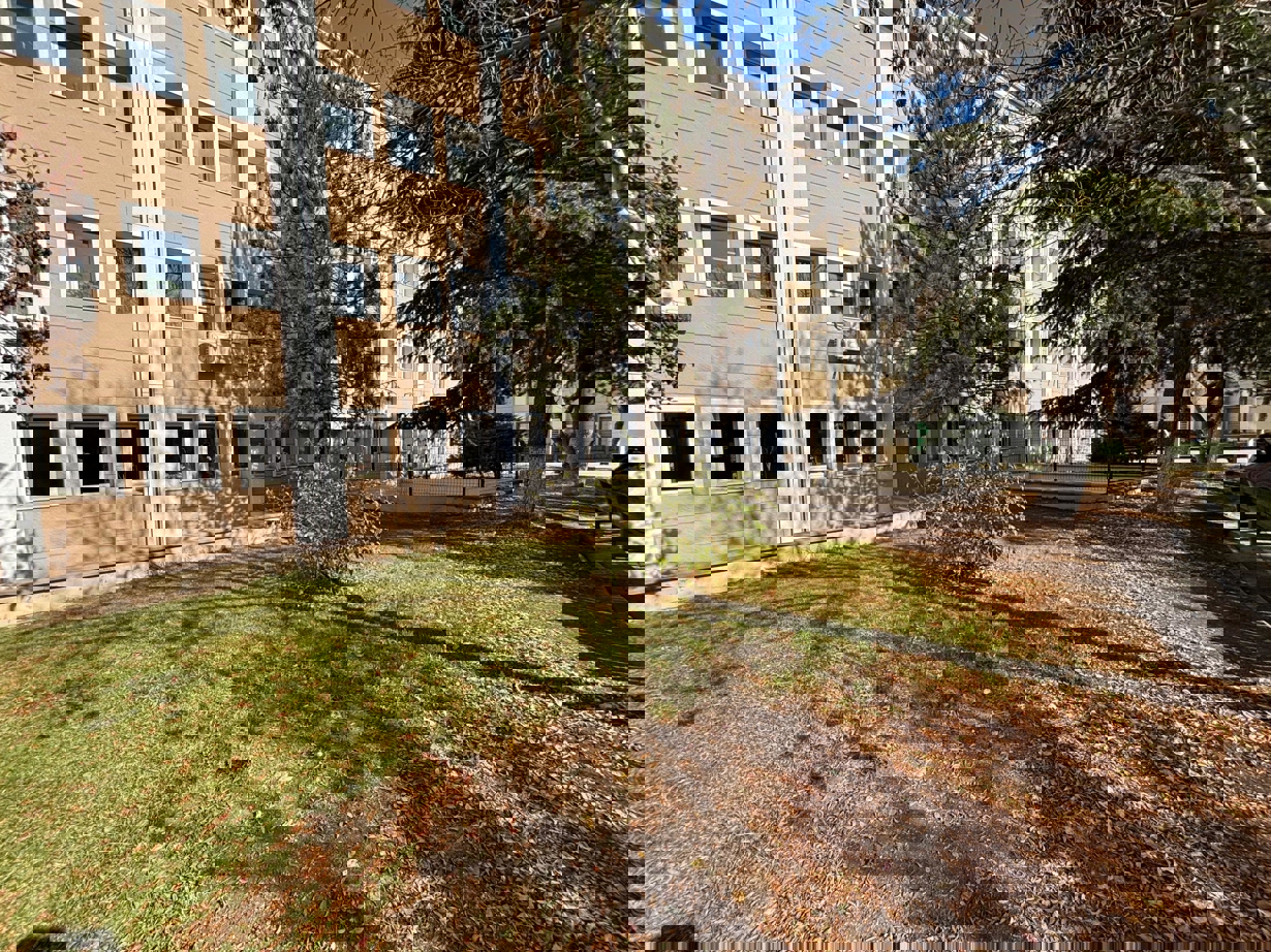 Fakültemizden Sonbahar Manzaraları-1