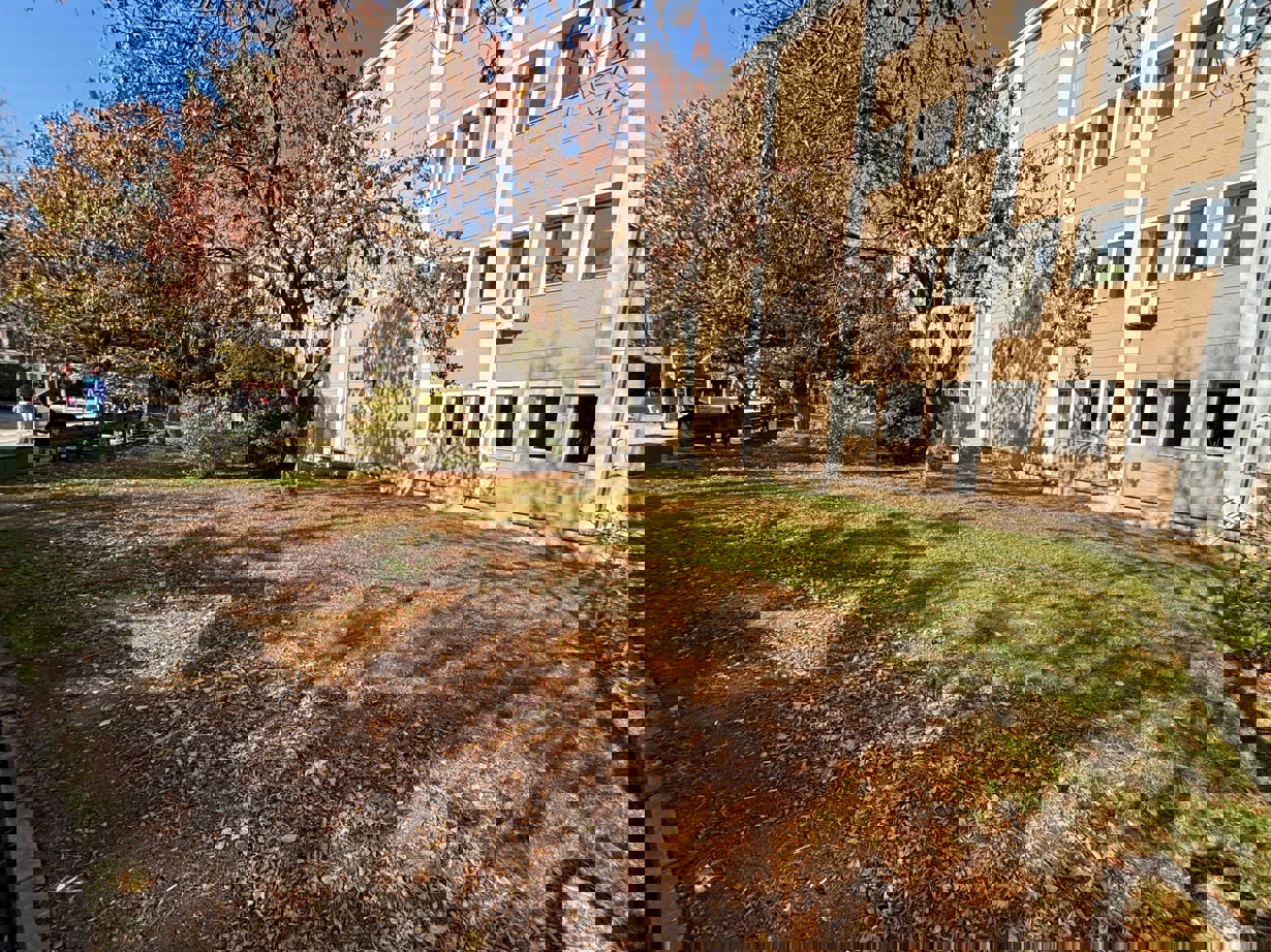 Fakültemizden Sonbahar Manzaraları-1