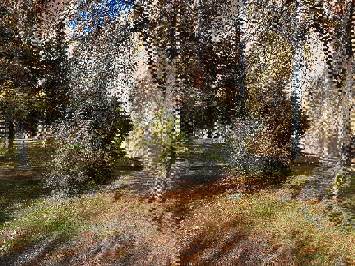 Fakültemizden Sonbahar Manzaraları-1