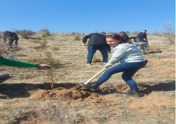 Fidan Dikim Etkinliği -1