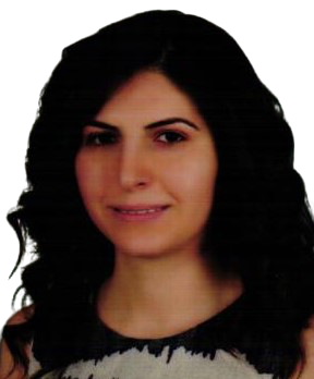 TÜBİTAK 1002-A Hızlı Destek Projesi Desteği-1