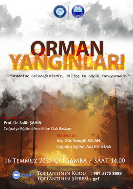 Orman Yangınları