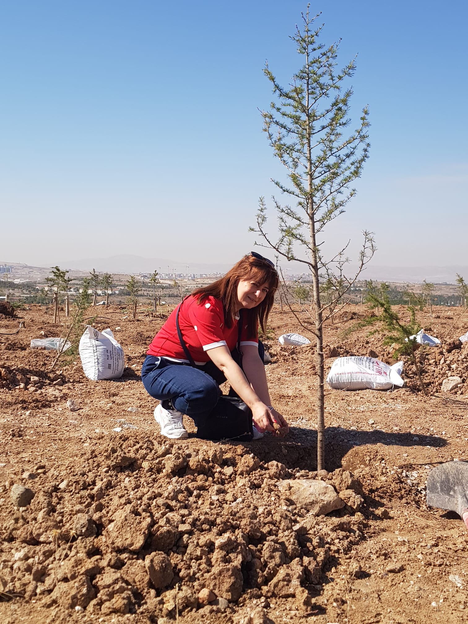 Şehir ve Bölge Planlama Bölümü ve Mezunları Hatıra Ormanı Dikim Şenliği-1