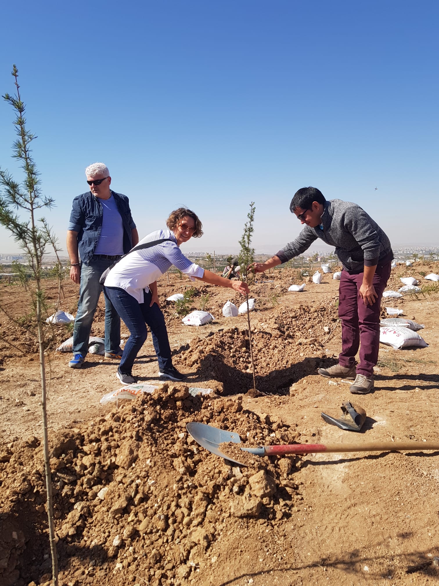 Şehir ve Bölge Planlama Bölümü ve Mezunları Hatıra Ormanı Dikim Şenliği-1