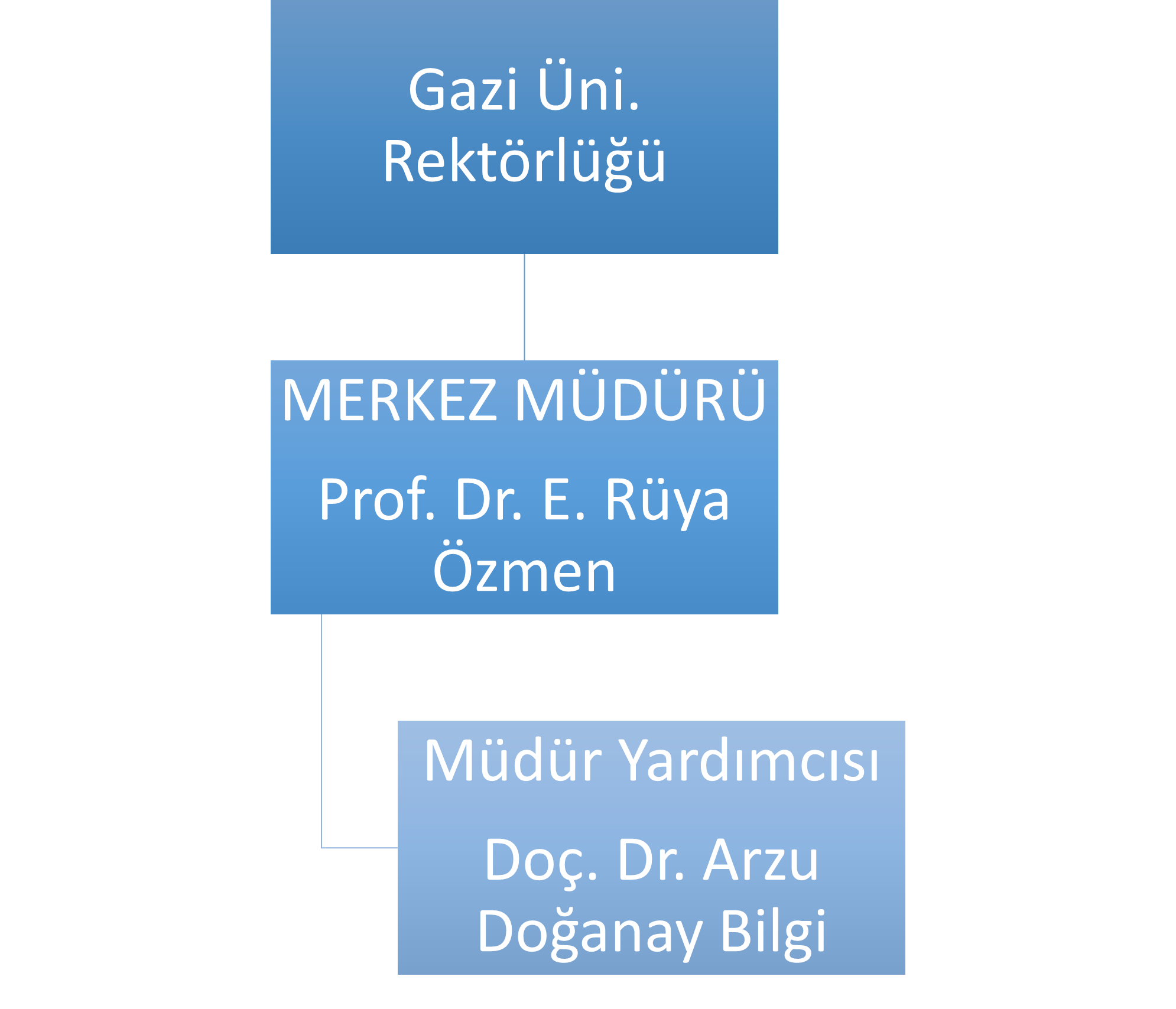 Organizasyon Şeması