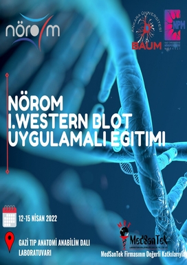 NÖROM I. Western Blot Uygulamalı Eğitimi