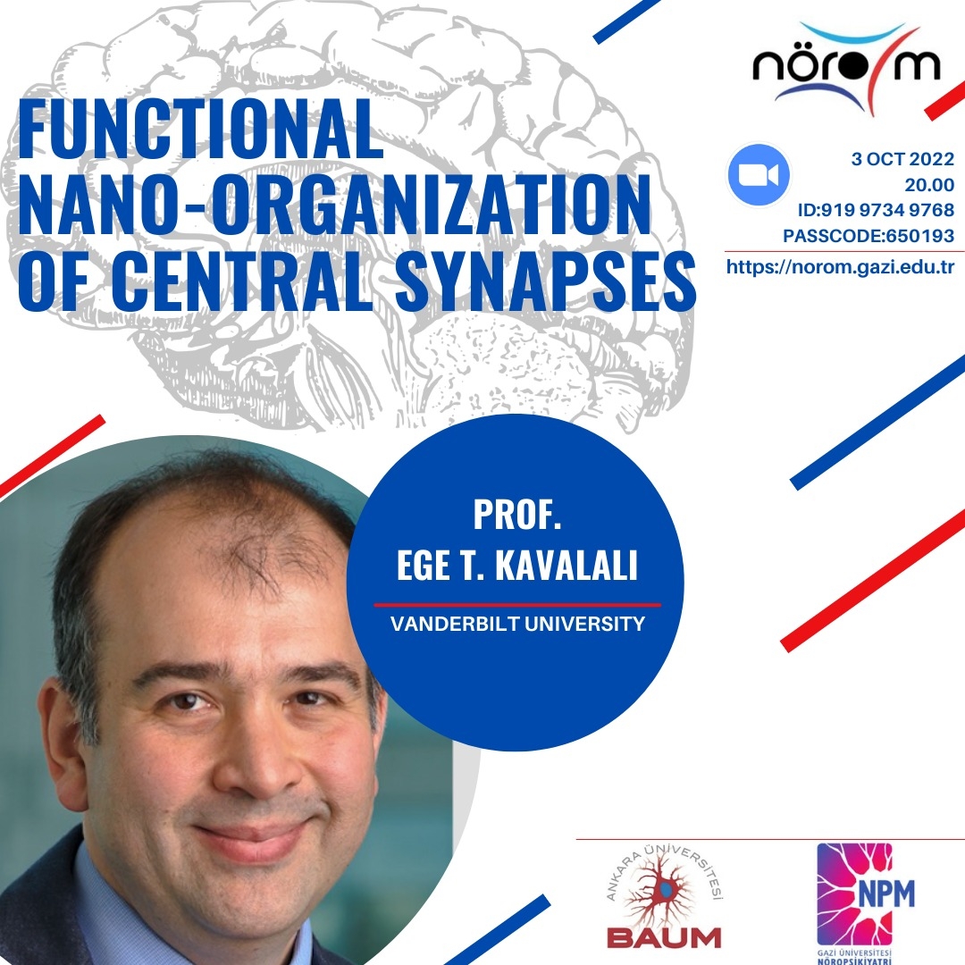 Functional Nano-Organization of Central Synapses-1