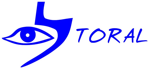 torem-1