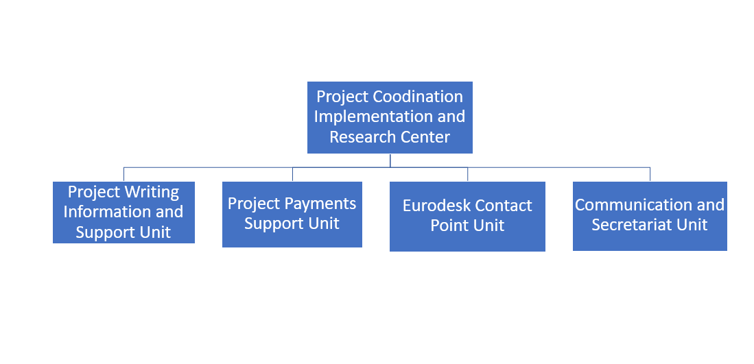 Organization Chart-1