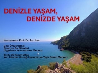 seminer3