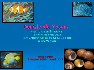 seminer2