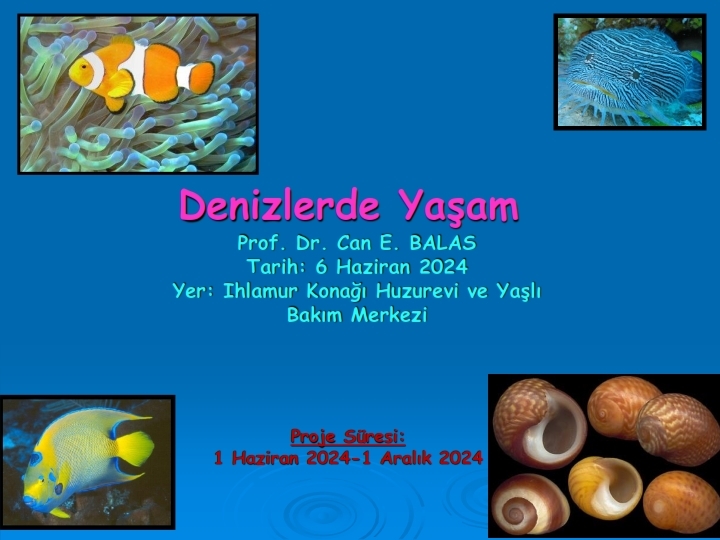 Denizlerde yaşam