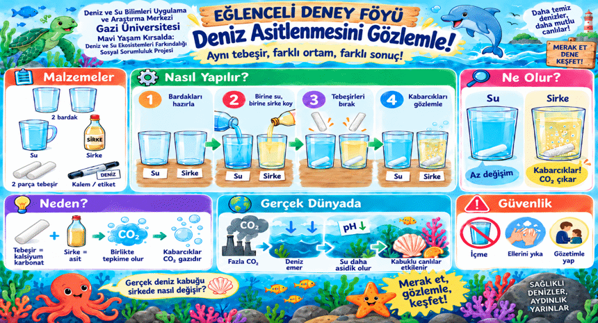 Deniz Asitlenmesi Deneyi