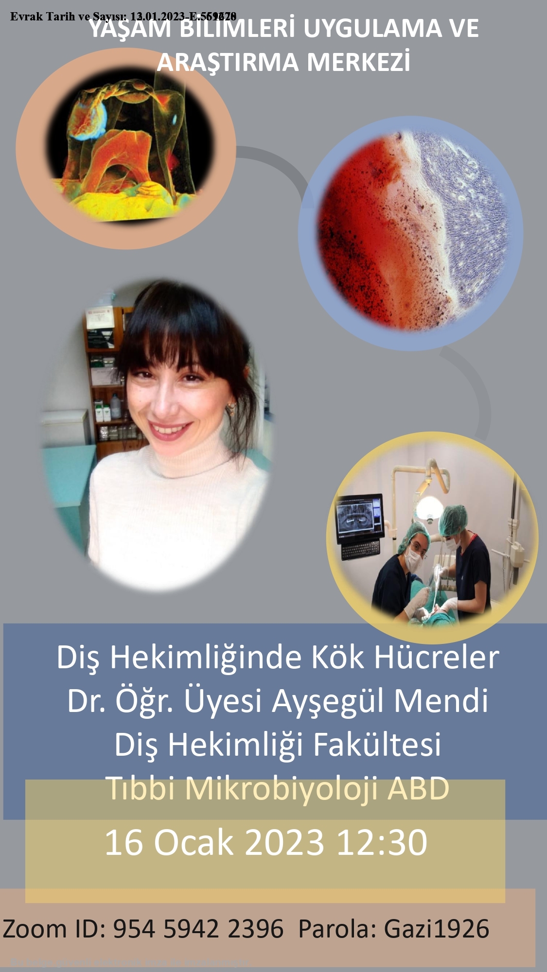 Diş Hekimliğinde Kök Hücreler-1
