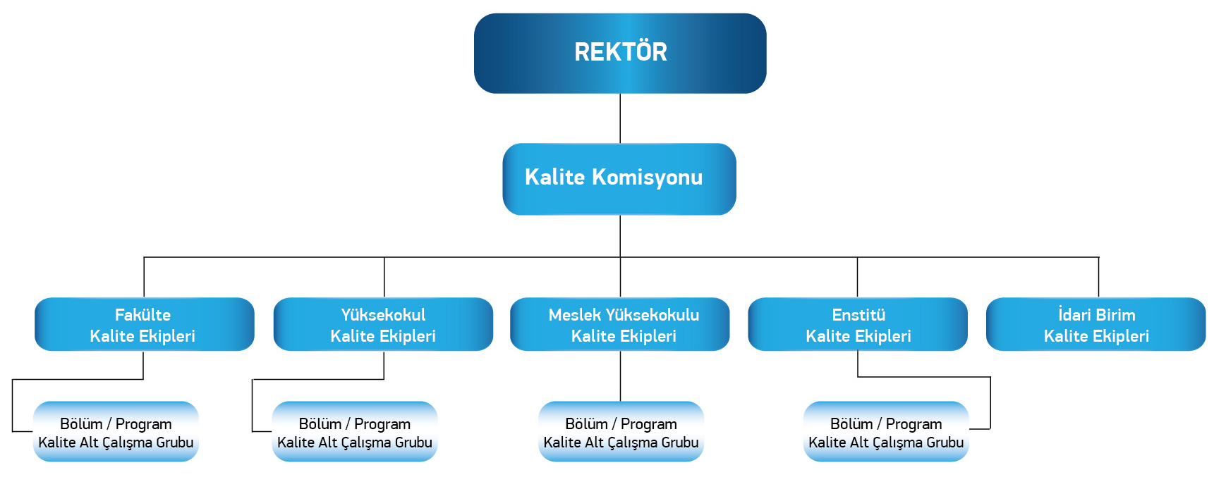 organizasyon şeması-1