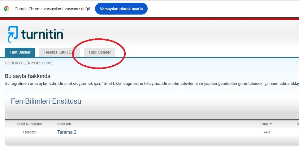 Hızlı gönder-1