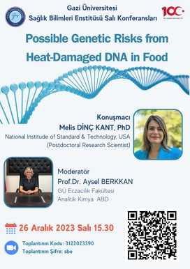 Possible Genetic Risks from Heat-Damaged DNA in Food