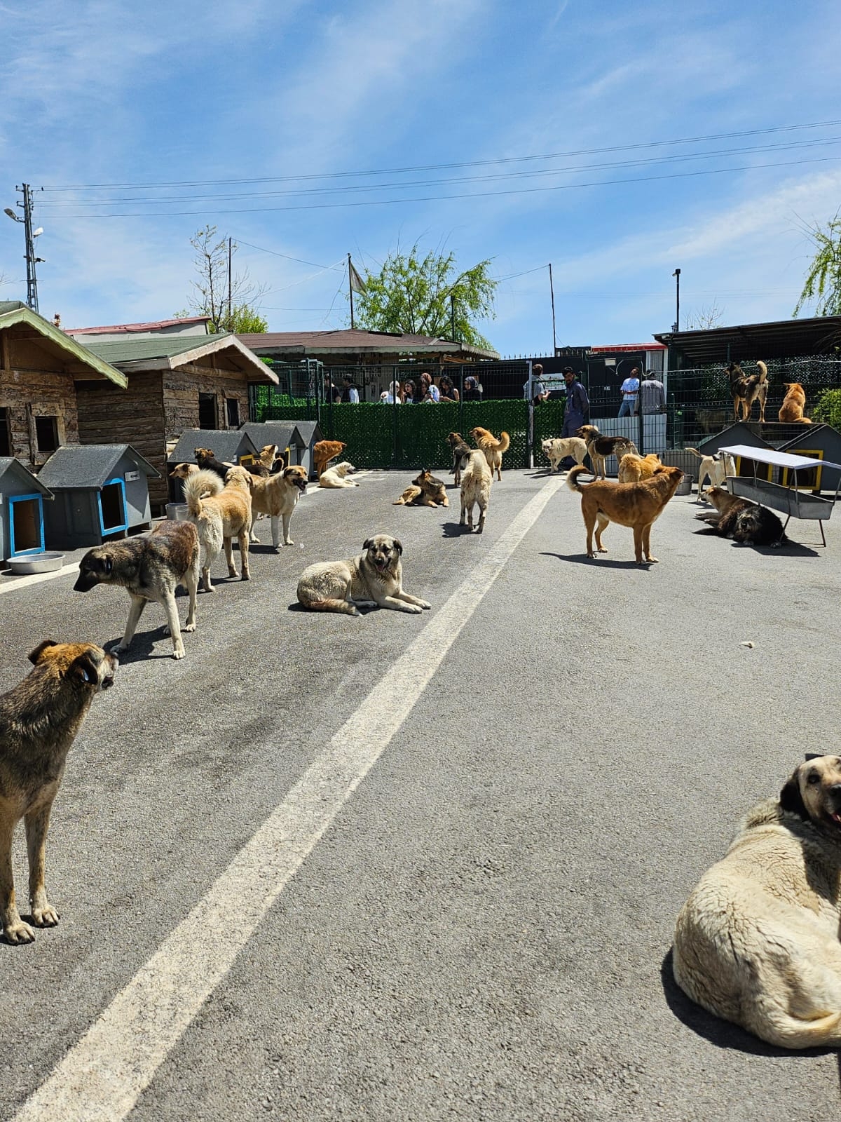 YDYO’dan Patiliköye Sevgi Dolu Ziyaret-1