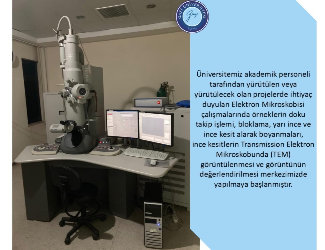 TEM-1