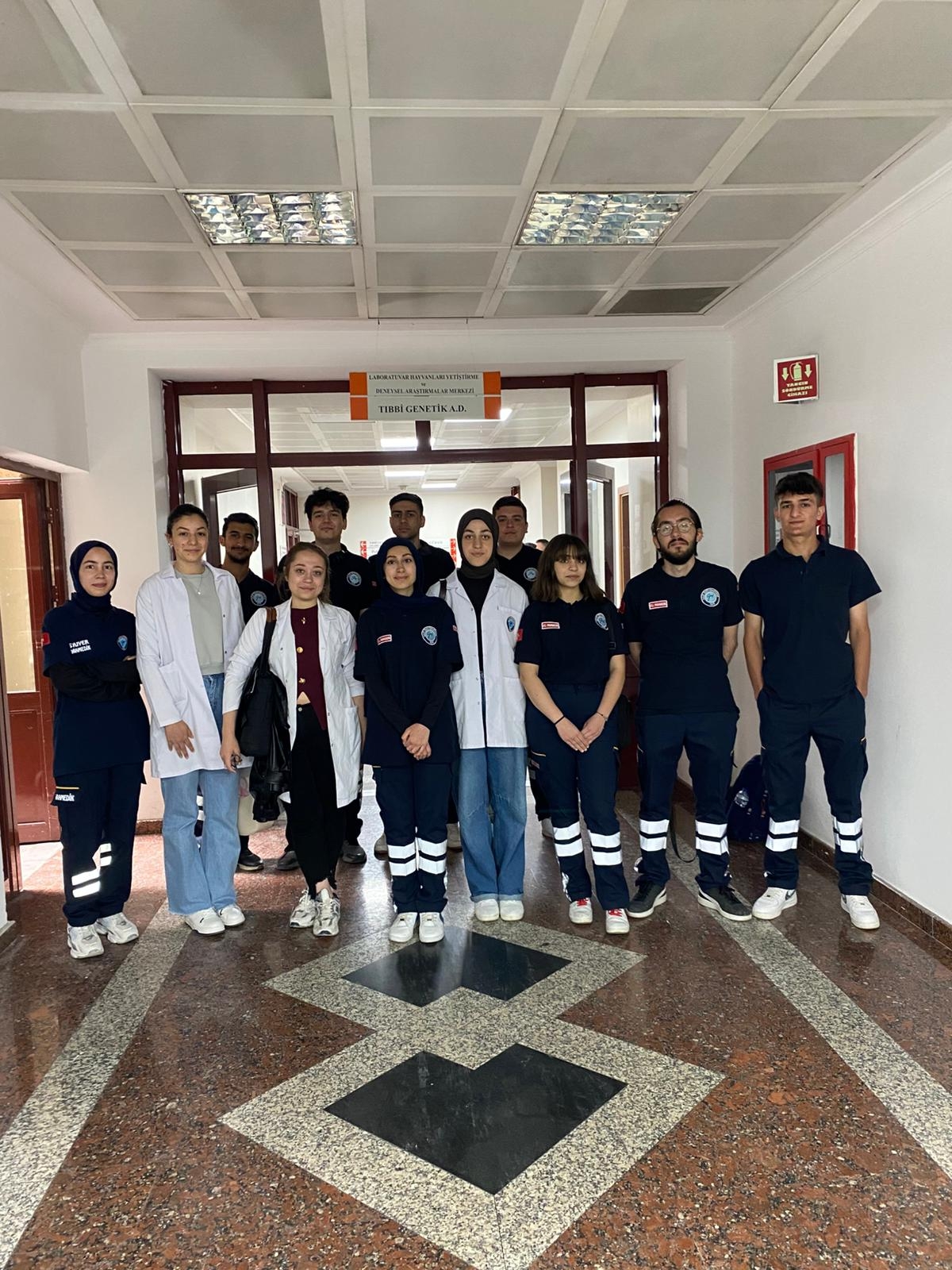 MOS137 Deneysel Araştırma Çalışmalar-2